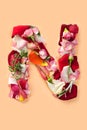 Letter N made from red roses and petals on a white background Royalty Free Stock Photo