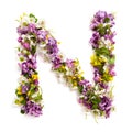 The letter ÃÂ«NÃÂ» made of various natural small flowers.