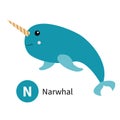 Letter N. Narwhal. Zoo animal alphabet. English abc with cute cartoon kawaii funny baby animals. Education cards for kids. Royalty Free Stock Photo