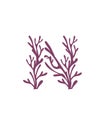 Letter N purple colored seaweeds underwater ocean plant sea coral elements flat vector illustration on white background