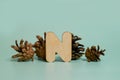 Letter N. A wooden letter of the English alphabet and four pine cones Royalty Free Stock Photo