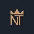 Letter NT Logo Design