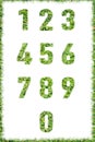 Letter numbers made set green grass isolated