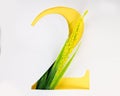 Letter 2 numbers with paper craft yellow flower. ABC concept type as logo on white background