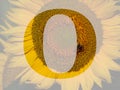 letter O of the alphabet made with a sunflower