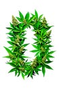 The letter O formed entirely of marijuana leaves against a white background. Alphabet. Isolated