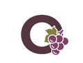 letter o with grapes. creative fruit alphabet logo. gardening, harvest and winemaking design