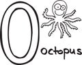 Letter O - octopus