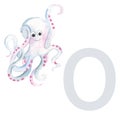 Letter O, octopus, cute kids animal ABC alphabet. Watercolor illustration isolated on white background. Can be used for Royalty Free Stock Photo