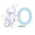 Letter O, octopus, cute kids animal ABC alphabet. Watercolor illustration isolated on white background. Can be used for Royalty Free Stock Photo