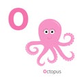 Letter O Octopus Zoo alphabet. Ocean See underwater life English abc with animals Education cards for kids Isolated