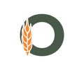 letter o with wheat ear. creative harvest alphabet logo. cereal farming, agriculture and grain crops design