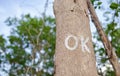 The letter `OK` on a tree.