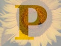 letter P of the alphabet made with a sunflower