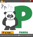 Letter P from alphabet with panda animal character