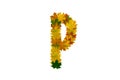 Letter P from autumn maple leaves. Alphabet from green, yellow and orange leaves