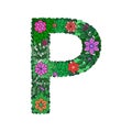 The letter P bright element of the colorful floral alphabet on a white background. Made from flowers, twigs and leaves. Floral