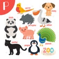 Letter P. Cute animals. Funny cartoon animals in vector.