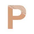 Letter P of the English alphabet, gray paper cardboard texture on white background - Vector