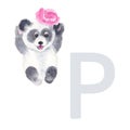 Letter P, panda with peony, cute kids animal ABC alphabet. Watercolor illustration isolated on white background. Can be