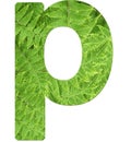 Letter p with texture of fern leaves, font Helvetica Word