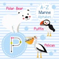 Letter P tracing. Polar Bear. Pelican. Puffin. Marine alphabet