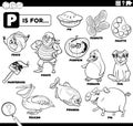 Letter p words educational set coloring book page Royalty Free Stock Photo