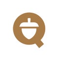 Letter Q acorn logo icon design, Oaknut and alphabet Q symbol - Vector