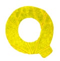 Letter Q carved from the autumn leaves