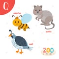 Letter Q. Cute animals. Funny cartoon animals in vector. Royalty Free Stock Photo