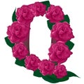 Letter Q cute flower illustration