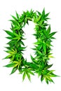 The letter Q formed entirely of marijuana leaves against a white background. Alphabet. Isolated