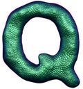 Letter Q made of natural green snake skin texture isolated on white. Royalty Free Stock Photo