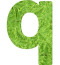 Letter q with texture of fern leaves, font Helvetica Word