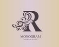 Letter R. Abstract Monogram. Calligraphic curls, similar to wind or curly hair. Creative Art Logo Design. Elegant Template for Bra