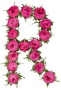 Letter R alphabet from flowers of roses, isolated on white background Royalty Free Stock Photo