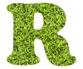 Letter R - Artificial green grass background. Top view