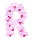 Letter R from orchid flowers