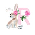 Letter R, rabbit and rose, cute kids animal and flower ABC alphabet. Watercolor illustration isolated on white