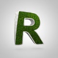 Letter R uppercase. Flowerbed with grass isolated on white background.