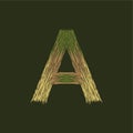 Letter A Root vintage illustration style design template Royalty Free Stock Photo