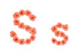 Letter S, alphabet made from orange roses