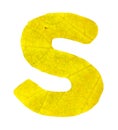 Letter S carved from the autumn leaves