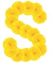 Letter S made from dandelions Royalty Free Stock Photo