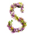 The letter ÃÂ«SÃÂ» made of various natural small flowers.