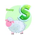 Letter S for Sheep cartoon alphabet for children Royalty Free Stock Photo