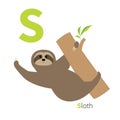 Letter S Sloth hanging on tree Zoo alphabet. English abc with animals Education cards for kids White background Flat desi Royalty Free Stock Photo