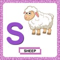 Letter S uppercase with cute cartoon Sheep or Lamb isolated on white background. Funny colorful flashcard Zoo and animals Royalty Free Stock Photo