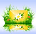 Letter or sms in grass spring summer style