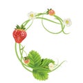 Letter A Strawberry font. Red Berry lettering alphabet. Fruits ABC